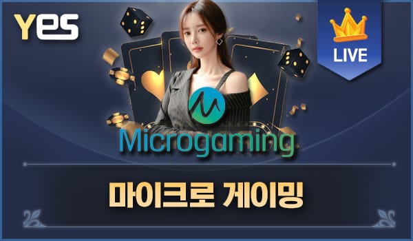 마이크로 게이밍