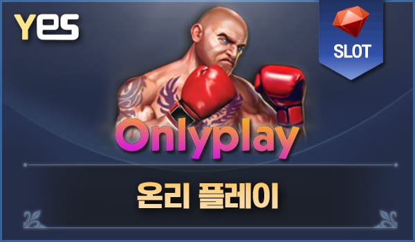 온리 플레이